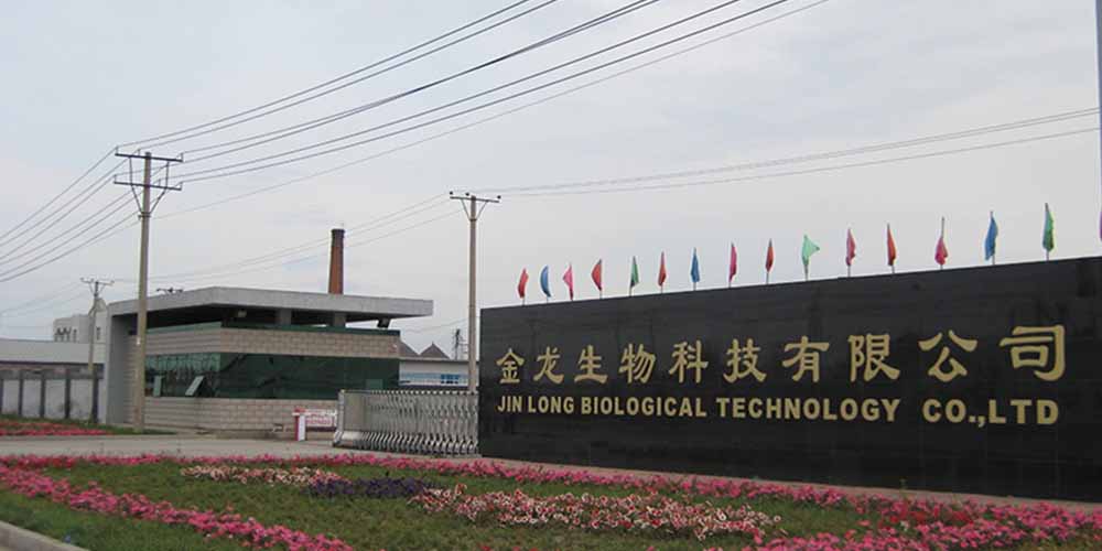 绥化金龙油脂用香蕉视频黄下载自动排渣过滤机过滤食用油