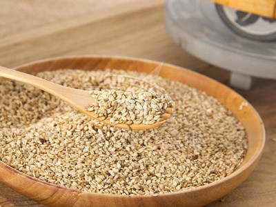 芝麻香蕉污视频APP方案
